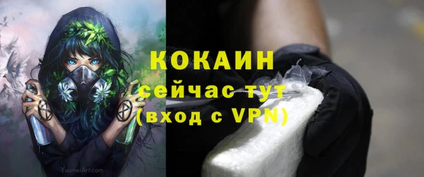стаф Абинск