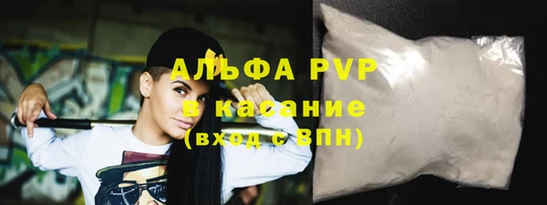 стаф Абинск