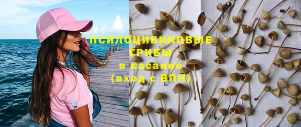 соль ск Нязепетровск