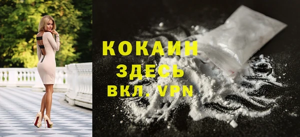 стаф Абинск