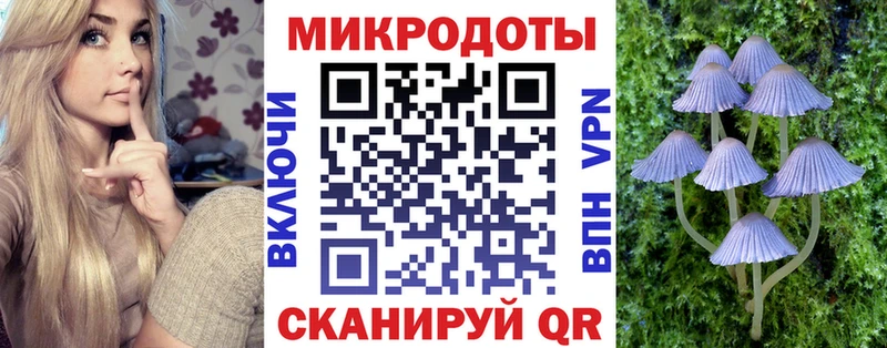 Галлюциногенные грибы Cubensis  Холмск 